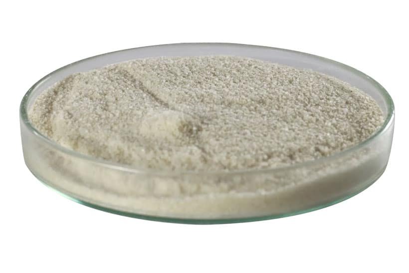 Arroz integral