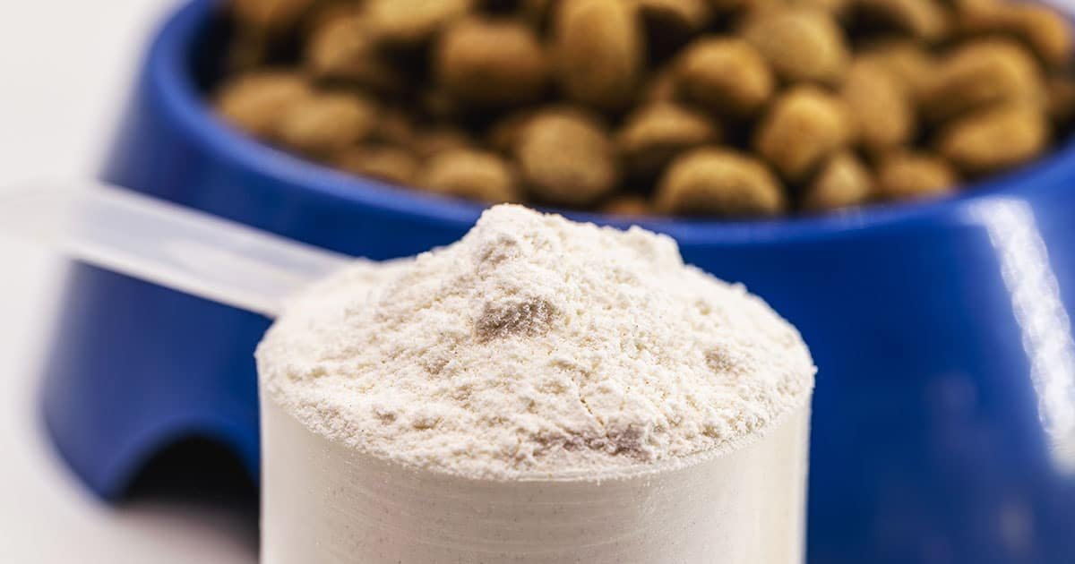 O segredo da qualidade: grãos e farinhas naturais na fórmula da inovação