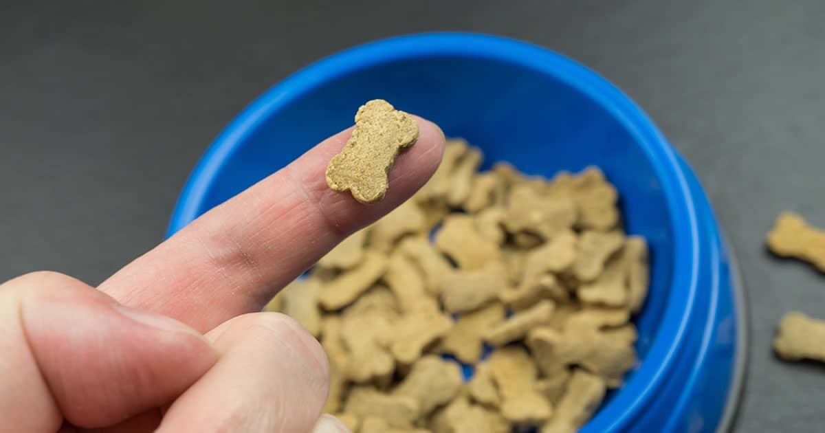 Tendências Pet Food 2026: dados e projeções que sustentam a transformação 