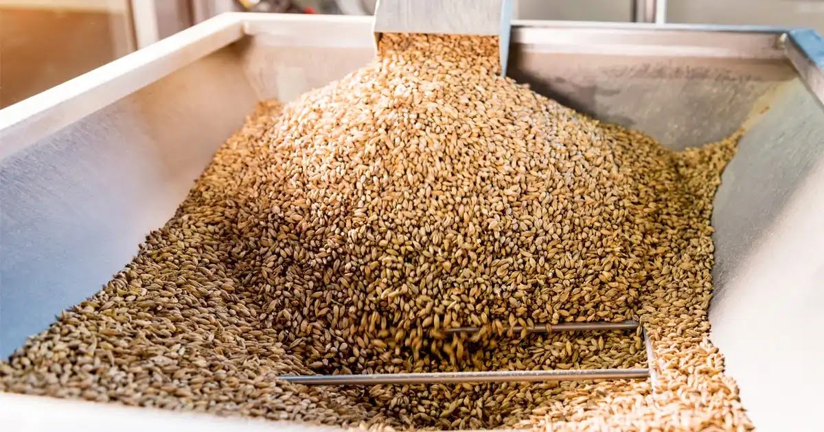 Ingredientes das bebidas funcionais