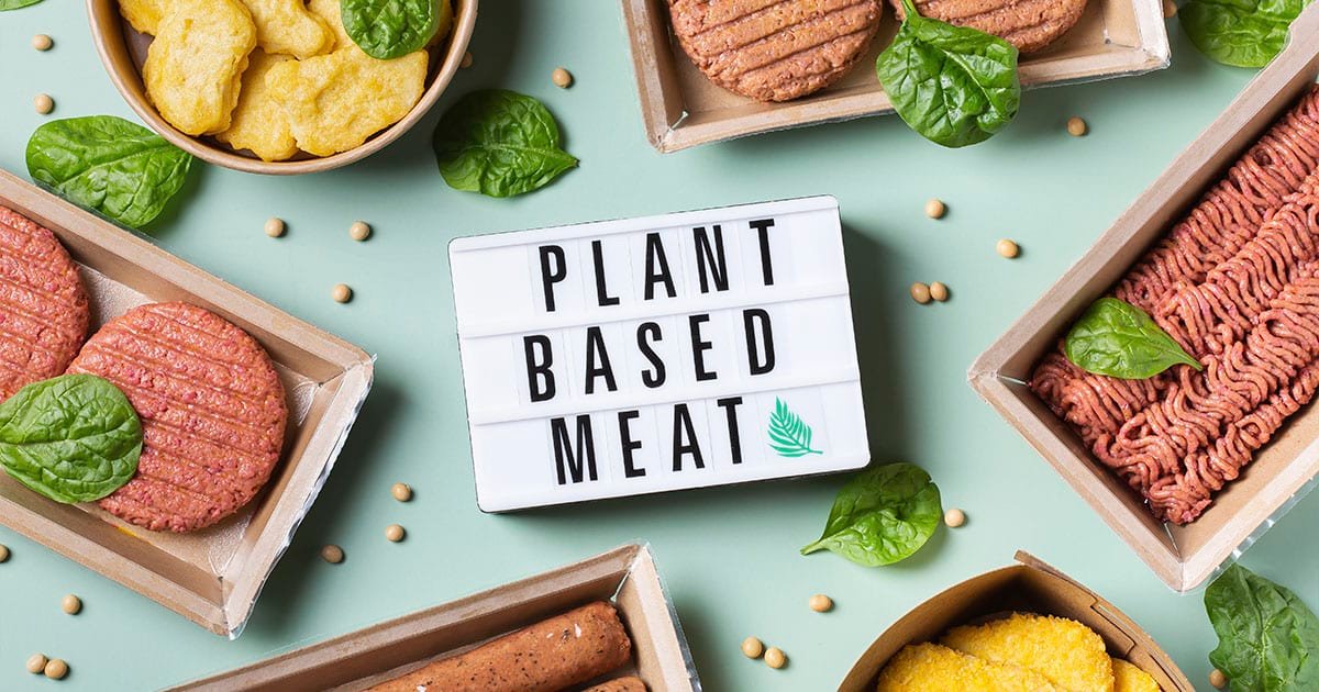Carne vegetal: o que é e quais seus benefícios - Blog Cisbra
