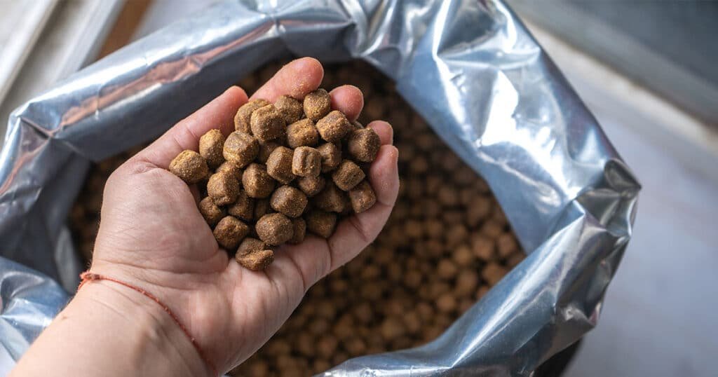5 boas práticas na fabricação de ração animal: mais qualidade e a eficiência para o setor