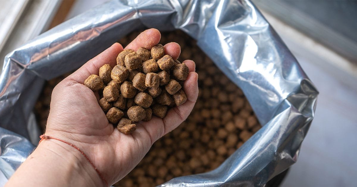 5 boas práticas na fabricação de ração animal: mais qualidade e a eficiência para o setor