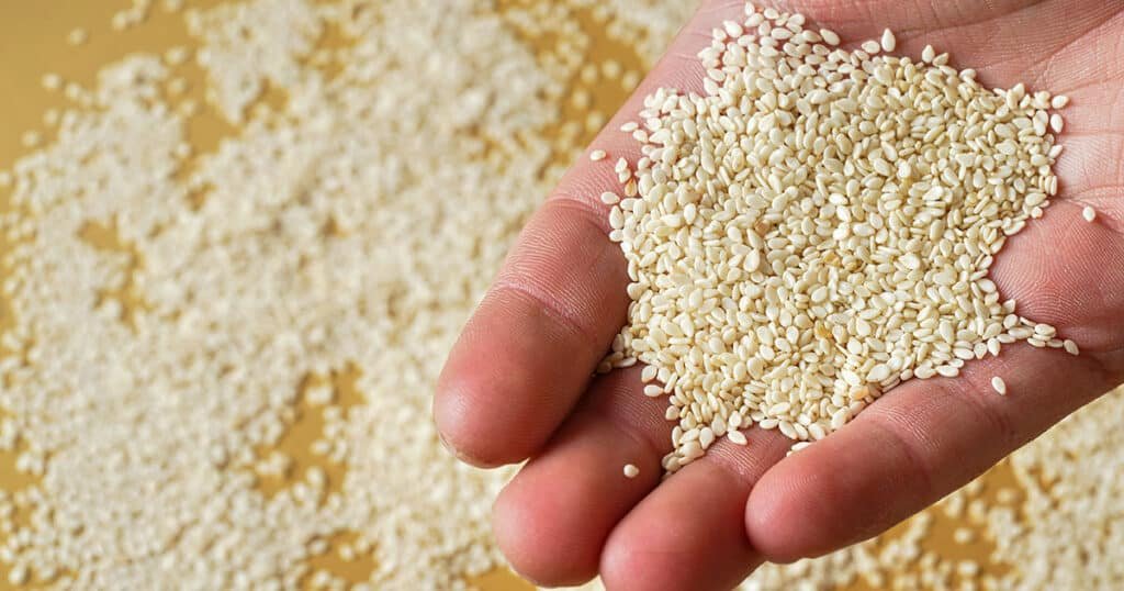 O futuro do gergelim: tendências emergentes e oportunidades no mercado global